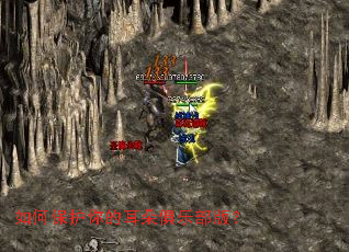 ��α�����Ķ�����ֲ��棿