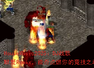 HouseMusic2025��DJս��Ĭ��Remix���ܷ��ȼ��ľ���֮�ꣿ