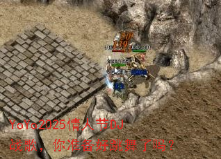 YoYo2025���˽�DJս�裬��׼������������