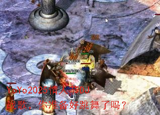 YoYo2025���˽�DJս�裬��׼������������