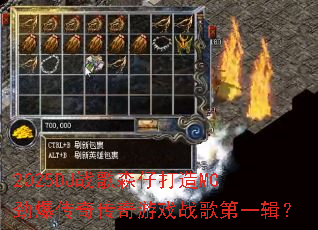 2025DJս��ɭ�д���MC�������洫����Ϸս���һ����