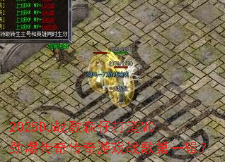 2025DJս��ɭ�д���MC�������洫����Ϸս���һ����