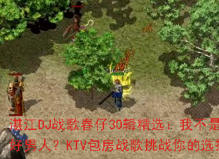 տ��DJս�贺��30����ѡ���Ҳ��Ǻ����ˣ�KTV����ս����ս���ѡ��
