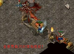 ȫ������ֻ�����ио���