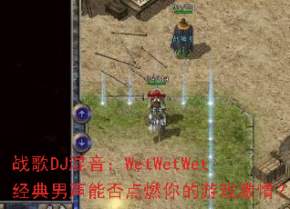 ս��DJ������WetWetWet���������ܷ��ȼ�����Ϸ���飿