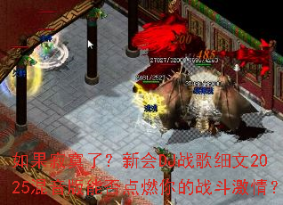 �����į�ˣ��»�DJս��ϸ��2025�������ܷ��ȼ���ս�����飿