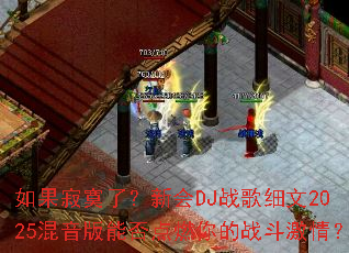 �����į�ˣ��»�DJս��ϸ��2025�������ܷ��ȼ���ս�����飿