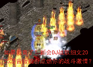 �����į�ˣ��»�DJս��ϸ��2025�������ܷ��ȼ���ս�����飿