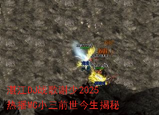 տ��DJս��л��2025�Ȳ�MCС��ǰ����������