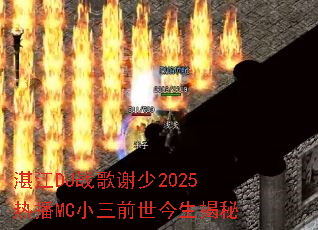 տ��DJս��л��2025�Ȳ�MCС��ǰ����������