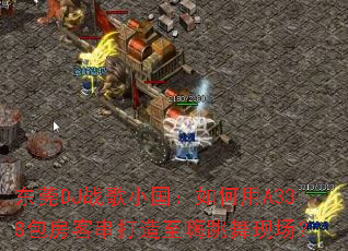 ��ݸDJս��С���������A338�����ʹ��������������ֳ���