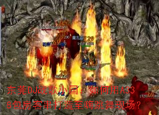 ��ݸDJս��С���������A338�����ʹ��������������ֳ���