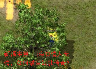 �½�����-ɽ�����������飬�����дս�贫�棿