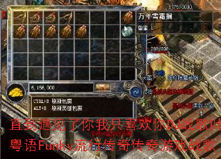 ֱ������������ֻϲ����DJս��Ҷ�й�����Funky���д��洫����Ϸս��