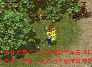 ����֮��2025����������������������������ײ�������ռ�������Ϸս�裿