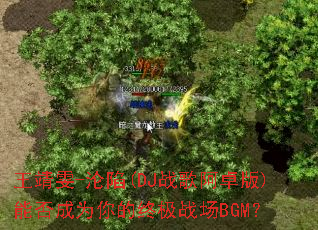 ������-����(DJս�谢׿��)�ܷ��Ϊ����ռ�ս��BGM��