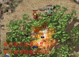 ����������ϼȫ���㣬���ս������Ϊ����