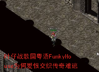 Ҷ��ս�������FunkyHouseΪ�ΰ��޽�֯��������