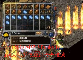 Ҷ��ս�������FunkyHouseΪ�ΰ��޽�֯��������