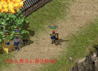 Ϊʲô�к���Ҫ��������