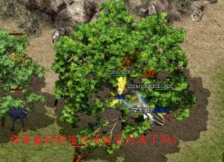 ��׼����ӭ���ⳡ���ֶԾ�����