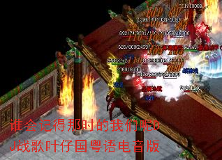 ˭��ǵ���ʱ��������DJս��Ҷ�й����������