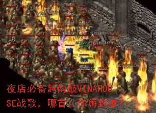 ҹ��ر�Խ�Ϲ�VINAHOUSEս�裬���������˵�����