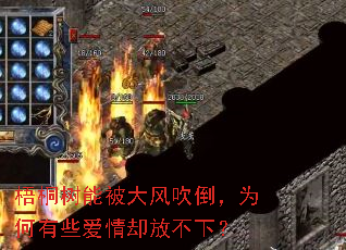 ��ͩ���ܱ���紵����Ϊ����Щ����ȴ�Ų��£�