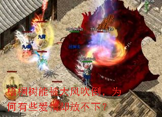 ��ͩ���ܱ���紵����Ϊ����Щ����ȴ�Ų��£�