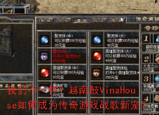 ���ǲ�һ����Խ�Ϲ�VinaHouse��γ�Ϊ������Ϸս���³裿