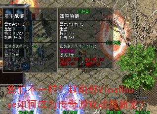 ���ǲ�һ����Խ�Ϲ�VinaHouse��γ�Ϊ������Ϸս���³裿