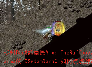 ����DJս������Mix��TheRuffboyz�Ծ�Karma�ġ�SedamDana����ε�ȼ��Ϸս����