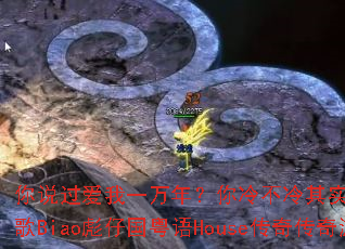 ��˵������һ���ꣿ���䲻����ʵ�Ҳ����ߣ�DJս��Biao���й�����House���洫����Ϸս��