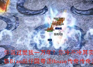 ��˵������һ���ꣿ���䲻����ʵ�Ҳ����ߣ�DJս��Biao���й�����House���洫����Ϸս��