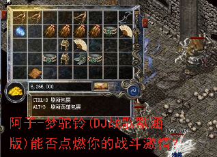 ����-������(DJս��Ĭ����)�ܷ��ȼ���ս�����飿