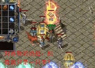 �����ܵľ��У�����ֻ��һֻ��