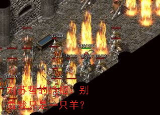 �����ܵľ��У�����ֻ��һֻ��