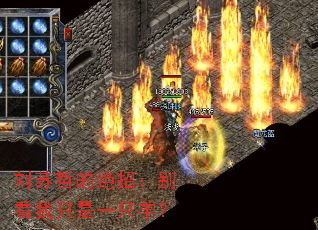 �����ܵľ��У�����ֻ��һֻ��