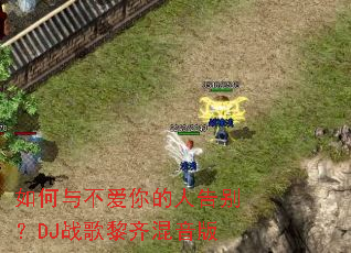 ����벻������˸��DJս�����������