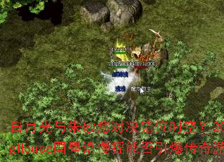 ���¹�����ɰ��Ծ���λʱ�գ�2025�����絯ProgHouse��������ҡ�ܷ�����������Ϸս���³�����