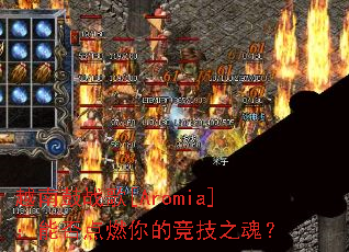 Խ�Ϲ�ս��[Aromia]���ܷ��ȼ��ľ���֮�ꣿ