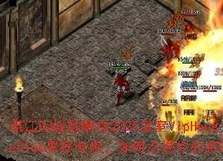 տ��DJս�谡��2025����VipHouseClub���ר�ã���ε�ȼ�����Ϸս����