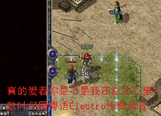 ��İ������ǲ����һ��������DJս��Ҷ�й�����Electro�������