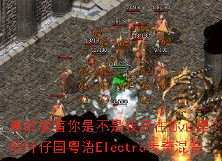 ��İ������ǲ����һ��������DJս��Ҷ�й�����Electro�������