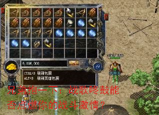 �ֵܱ�һ�£�ս���˹��ܷ��ȼ���ս�����飿