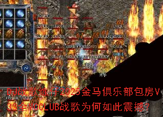 DJս������2025�������ֲ�����V33ȫMCCLUBս��Ϊ������𺳣�