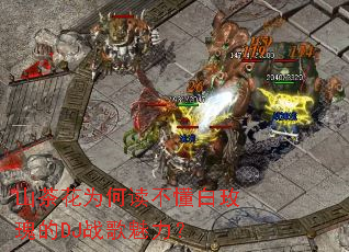 ɽ�軨Ϊ�ζ�������õ���DJս��������