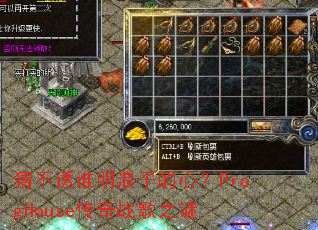 �²�͸˭�����ӵ��ģ�ProgHouse����ս��֮��