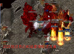 2025�Ź��Լ�MCս������������