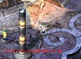 2025�Ź��Լ�MCս������������